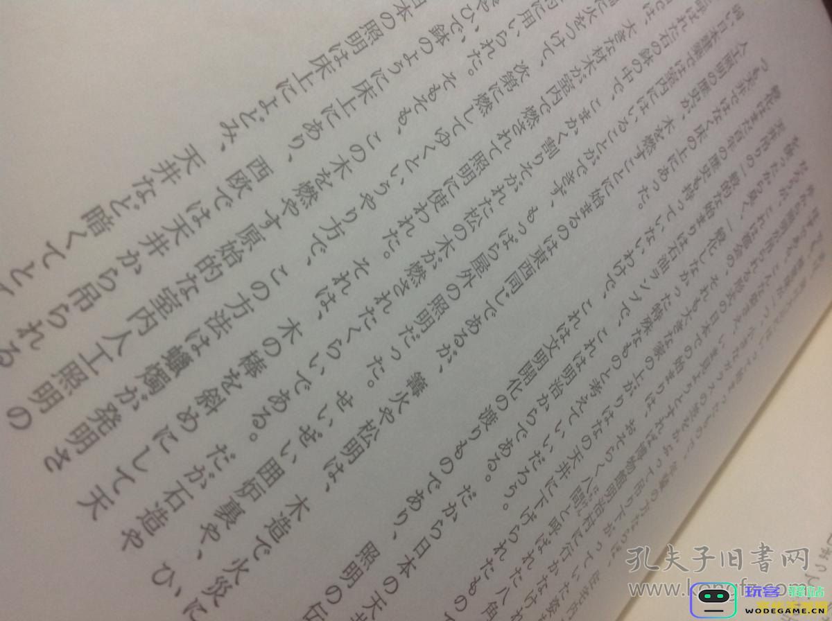 关于原神的日文翻译及其在文学作品中的使用技巧