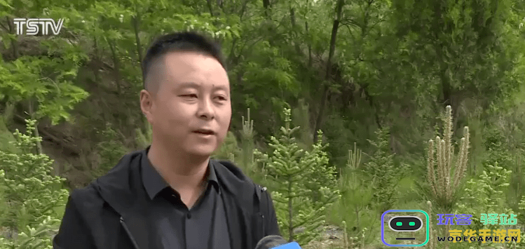 原神童心的隐秘任务