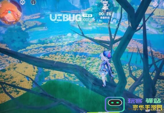 原神马尾的采集地点分布情况分析：究竟在哪些地方采集的数量最多