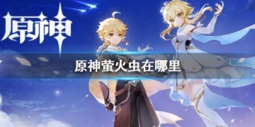 原神马尾在哪采集最多