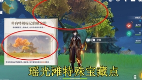 原神摇光滩特殊宝藏