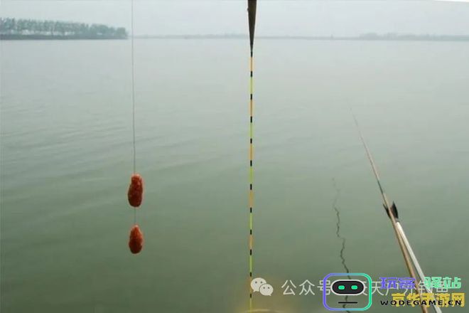 原神稻妻地区钓鱼所需鱼竿材料以及最佳钓鱼地点详解