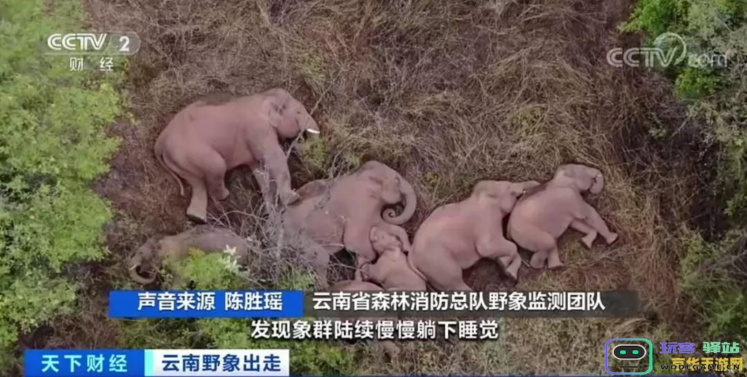 原神群玉阁人物间深度对话分析与剧情解读