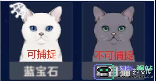 原神角色代表的动物