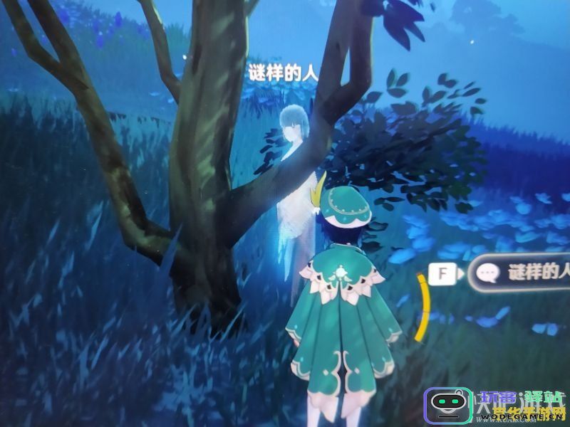 原神留念镜结节