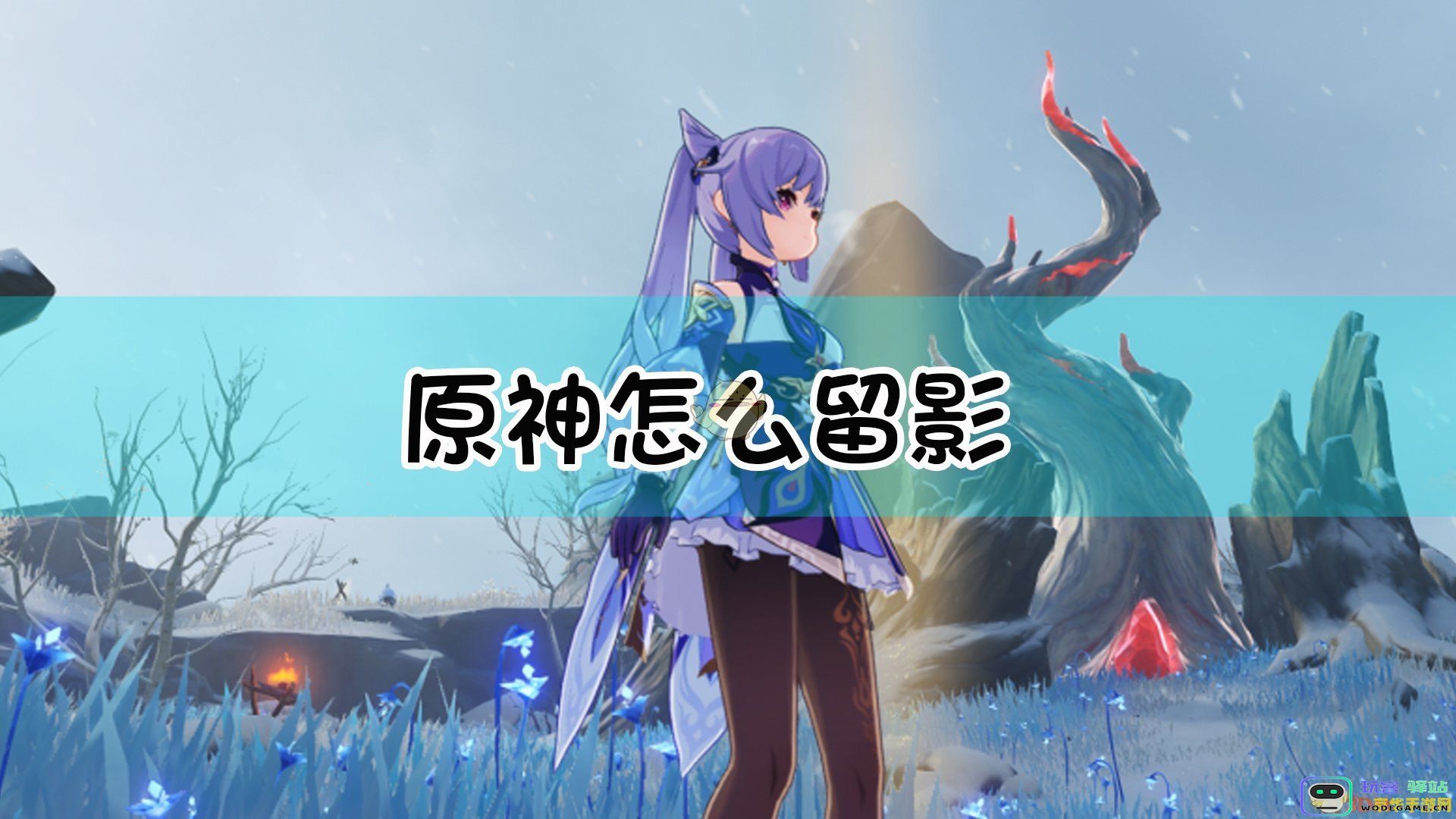原神暂且留影