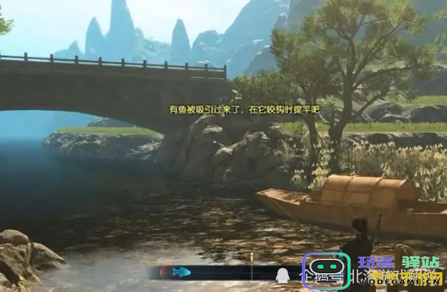 原神哪个地方钓鱼最多
