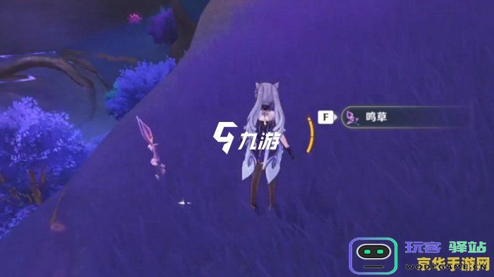 原神鸣草的位置