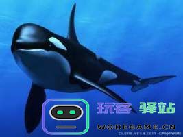 原神蛇骨矿洞鲸井小弟
