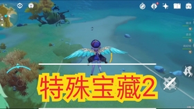 原神秘宝迷踪特殊宝藏荒海