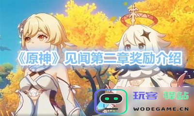 原神见闻只有九章吗