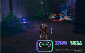 原神蛇神之首解密攻略3