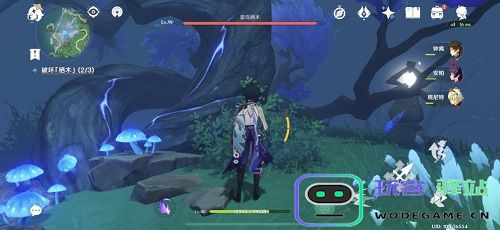 原神雾海纪行雾海与树之祭