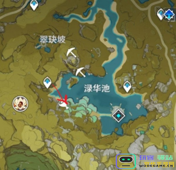 原神哪里的莲蓬最多