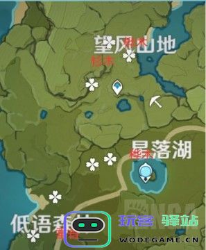 原神中松木在哪里