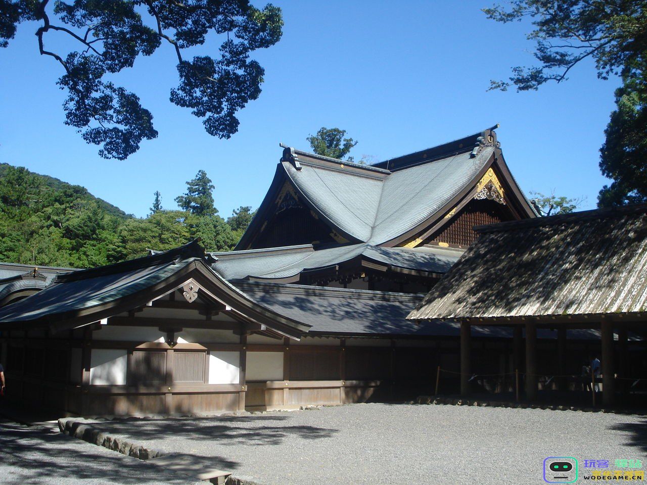 原神神社人影突然消失在房顶上，探讨这一奇妙现象