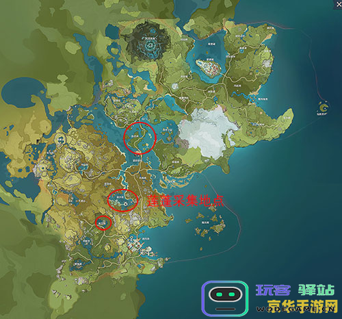原神莲蓬多少钱