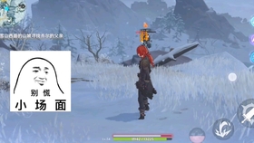 原神雪山冰面上的仙灵舞动旋转，奇妙的探险之旅即将展开