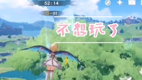 原神飞行考试环节无法顺利出现，玩家面临的困扰与解决办法