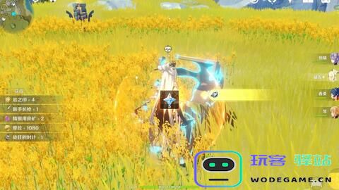 在原神游戏中，岩柱子顺序出现混乱问题的讨论
