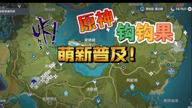 原神钩钩果采集地点