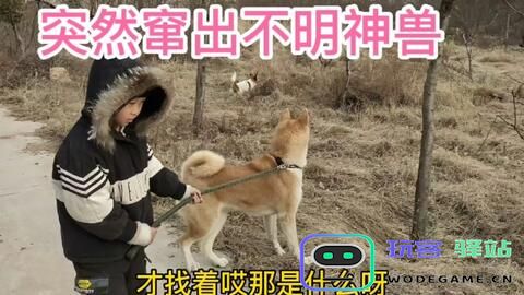 原神中的流血狗实在让人感到非常恶心和不适，真是难以忍受的角色设计
