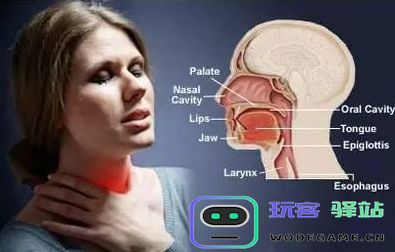 原神在吞咽之间缺少了某个关键要素，引发玩家热议的讨论