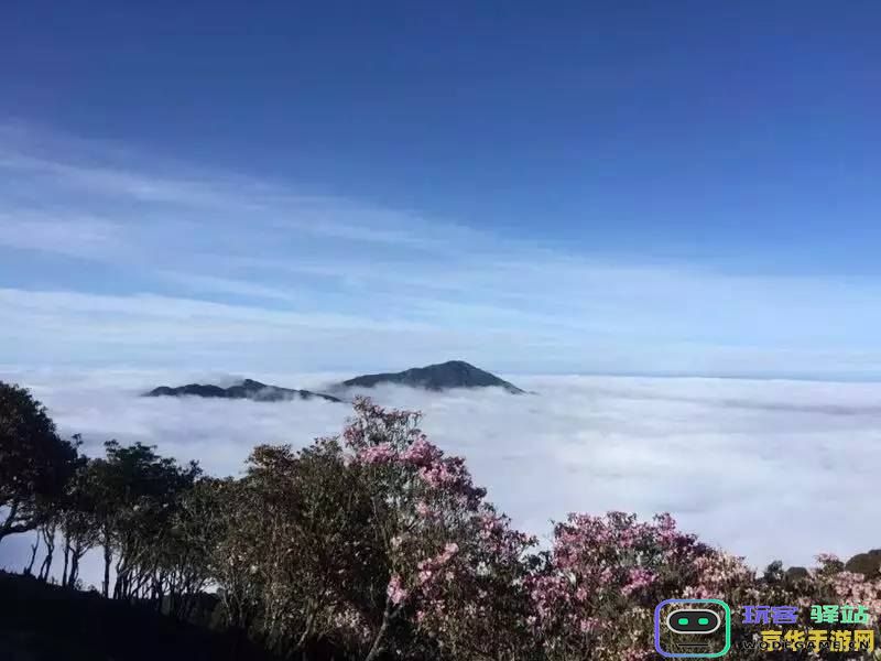 原神怎么上雪山山顶的路