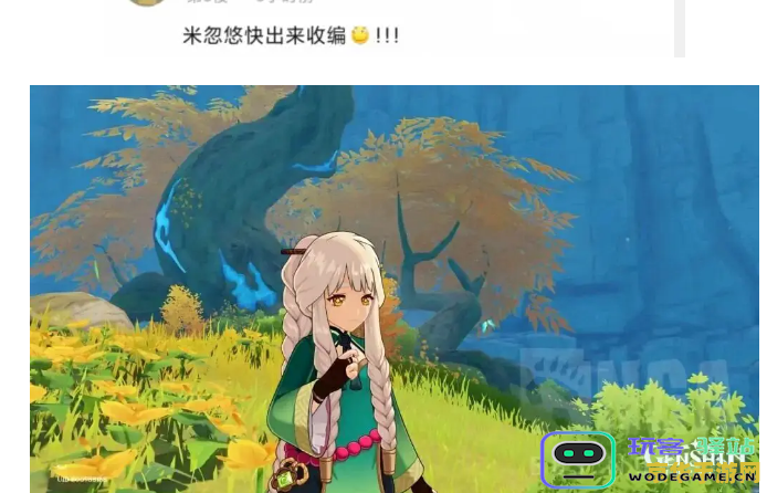 原神人物旁边飞的宠物