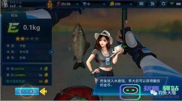 钓鱼大咖水族馆玩法