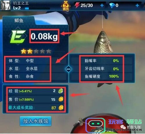 钓鱼大咖钓鱼方法