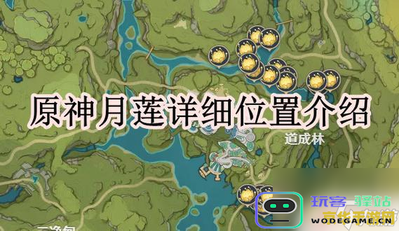 探秘原神中的月莲：了解这款游戏中稀有植物的特性与用途