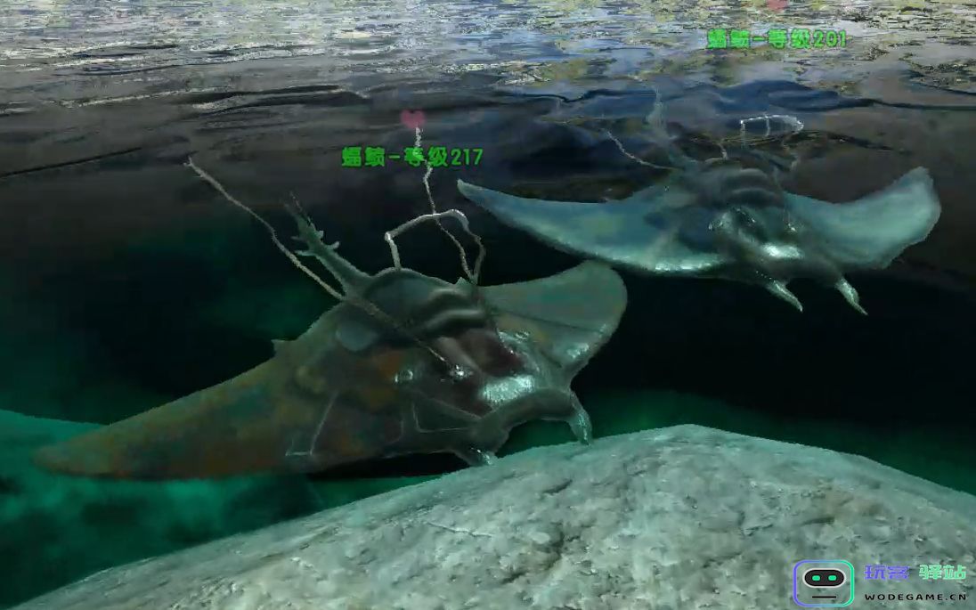 方舟生存进化蝠鲼在哪里：探索神秘海洋生物的奇妙之旅！