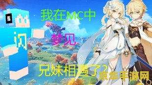 原神望舒客栈岩神瞳 原神望舒客栈岩神瞳探索指南