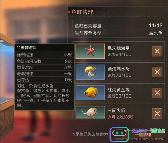 明日之后稀有鱼怎么获得：轻松享受钓鱼乐趣的秘密技巧！