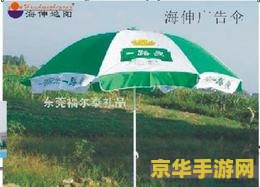 原神中的伞盖荫蔽功能如何开启详细攻略与步骤解析