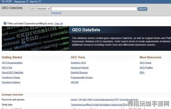 神经信号编码全流程-开放世界RPG-支付宝即玩-4月版本V2.0