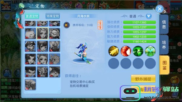 天书奇谈宠物系统攻略