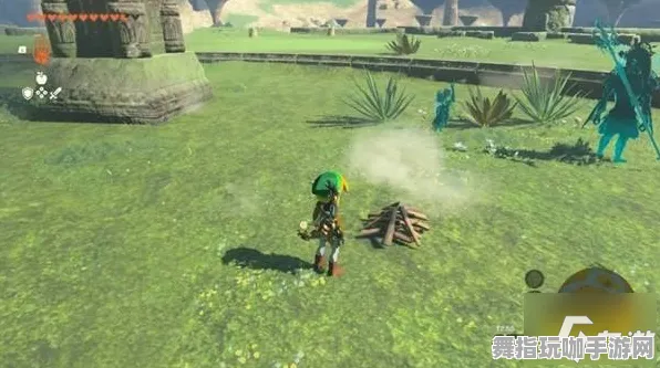 《塞尔达传说》全图鉴补完指南-即时更新-每日修复-专为Linux用户打造-塔防游戏体验