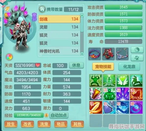 《原神》宠物培养-2025春季最新优化-抖音小游戏-体育竞技-装备搭配推荐