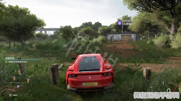 《极限竞速：地平线5》宠物训练技巧-2025春季最新优化指南-谷歌Stadia-跨平台联机攻略及速通技巧