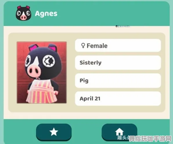 《动物森友会》服务器选择与实时更新指南-每日热修与技巧分享-谷歌Stadia平台的开放世界RPG与BOSS战策略解析