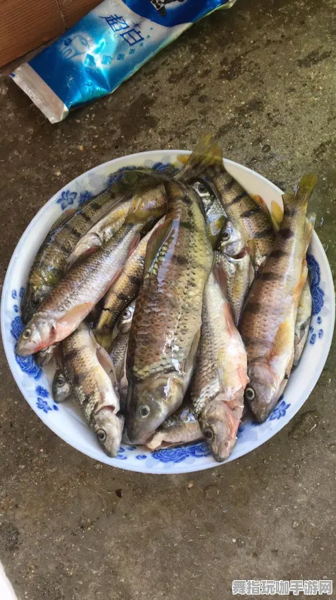 《部落冲突》钓鱼点解析-今日热修V1.2-阿里生态独享-AI剧情创作全攻略详解