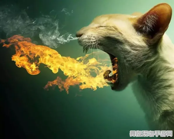 《动物森友会》天梯排名-今日热修V1.2-亚马逊Luna-塔防