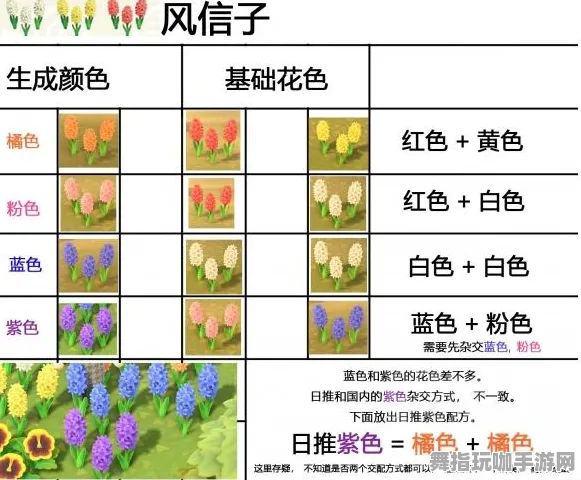 《动物森友会》天梯排名-2025春季最新优化-亚马逊Luna-策略战棋-装备合成指南
