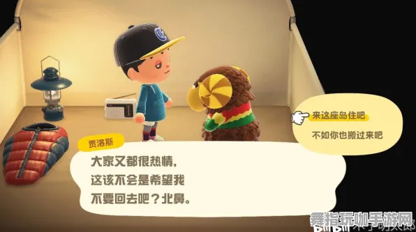 《动物森友会》新手开荒-实时更新-每日热修-Steam Deck-脑机接口2.0-副本速通技巧（本内容仅限技术研究）