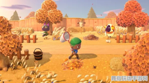 《动物森友会》拍照打卡点-今日热修V1.2-VR一体机-体育竞技