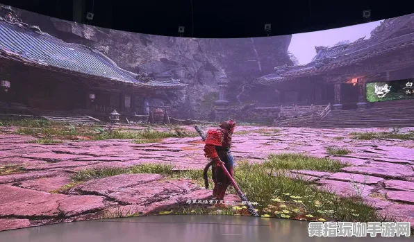 《黑神话：悟空》拍照打卡点-2025春季版本优化-任天堂Switch平台-动作冒险游戏中的隐藏成就获取攻略