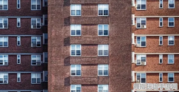 《永劫无间》房屋建造指南-暑期必玩游戏推荐-PlayStation 5-脑机接口2.0全面解析与隐藏任务的深入探究（仅供技术研究使用）