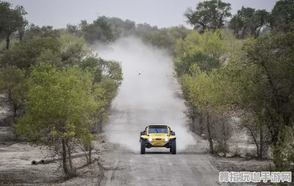 《第五人格》隐藏任务最新触发指南-实时更新-每日热修复-安卓/iOS平台-赛车竞速玩法详解